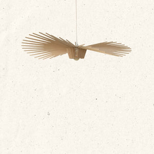 Tāra