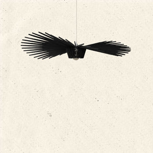 Tāra